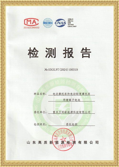 Lithium-ion Battery - Inspection Report